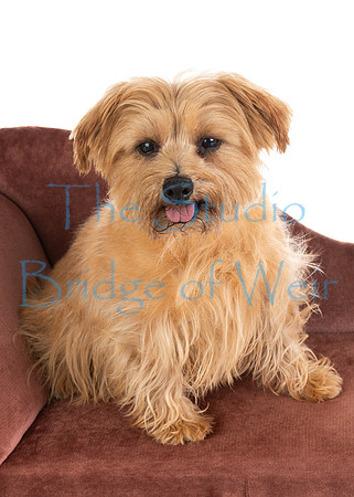 Tiggy-14