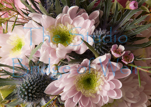 Details-31